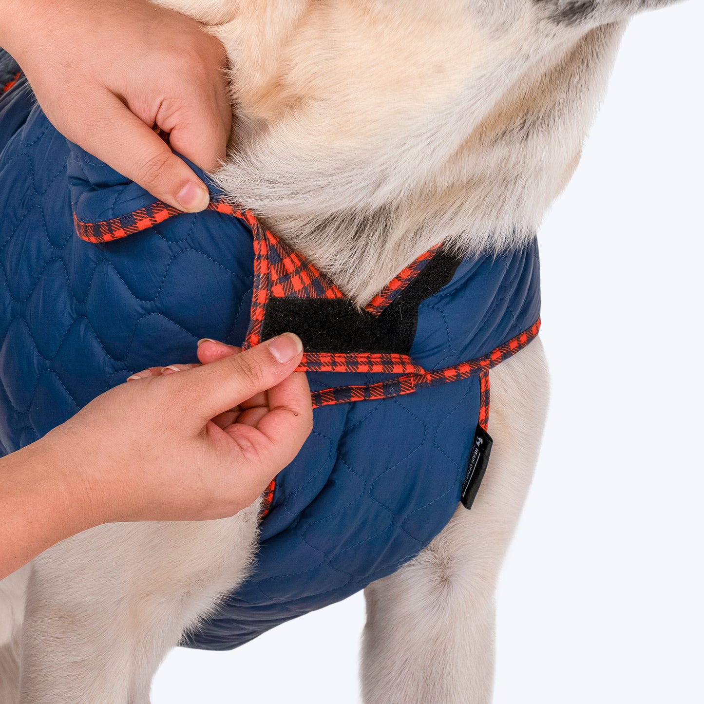 HUFT Grrberry Quilted Dog Jacket - Teal Blue - Heads Up For Tails
