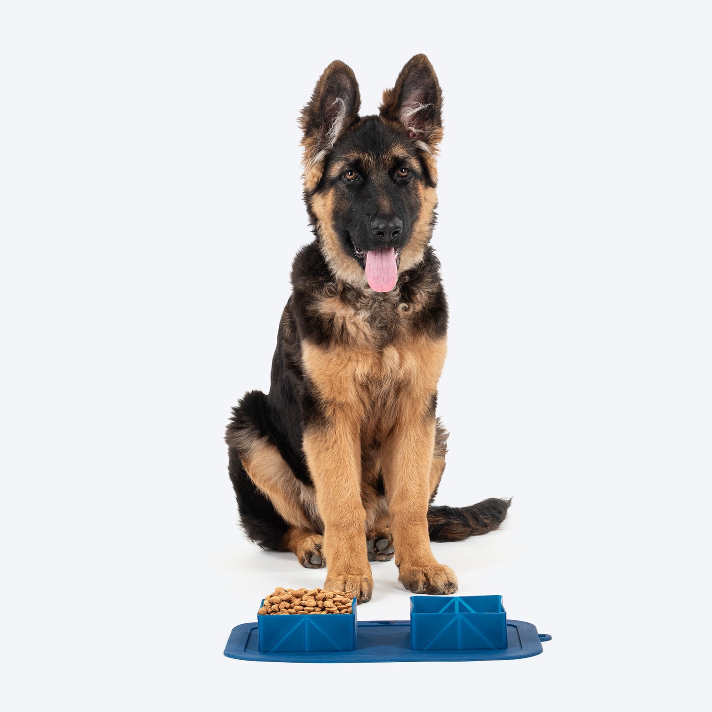 Dash Dog Travel Foldable Double Diner For Dog - Blue - Heads Up For Tails