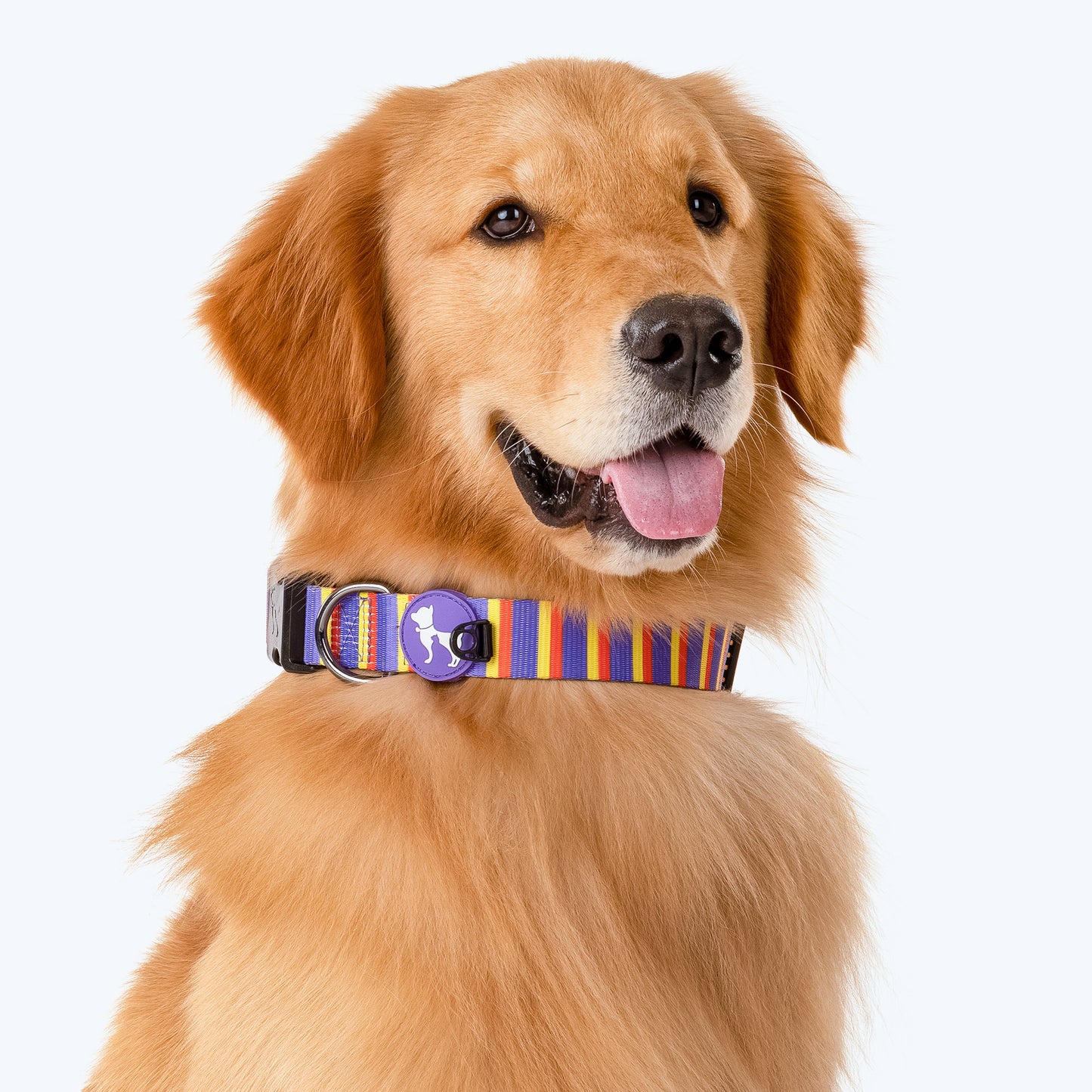 HUFT Sunny Stride Printed Dog Collar - Heads Up For Tails