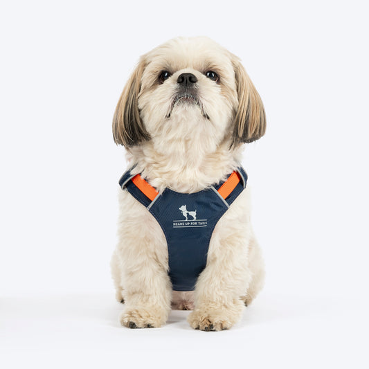 HUFT Walkmate Harness For Dog - Navy