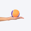 HUFT Fetch Play Pack Tennis Ball For Dog - Orange & Purple - Heads Up For Tails