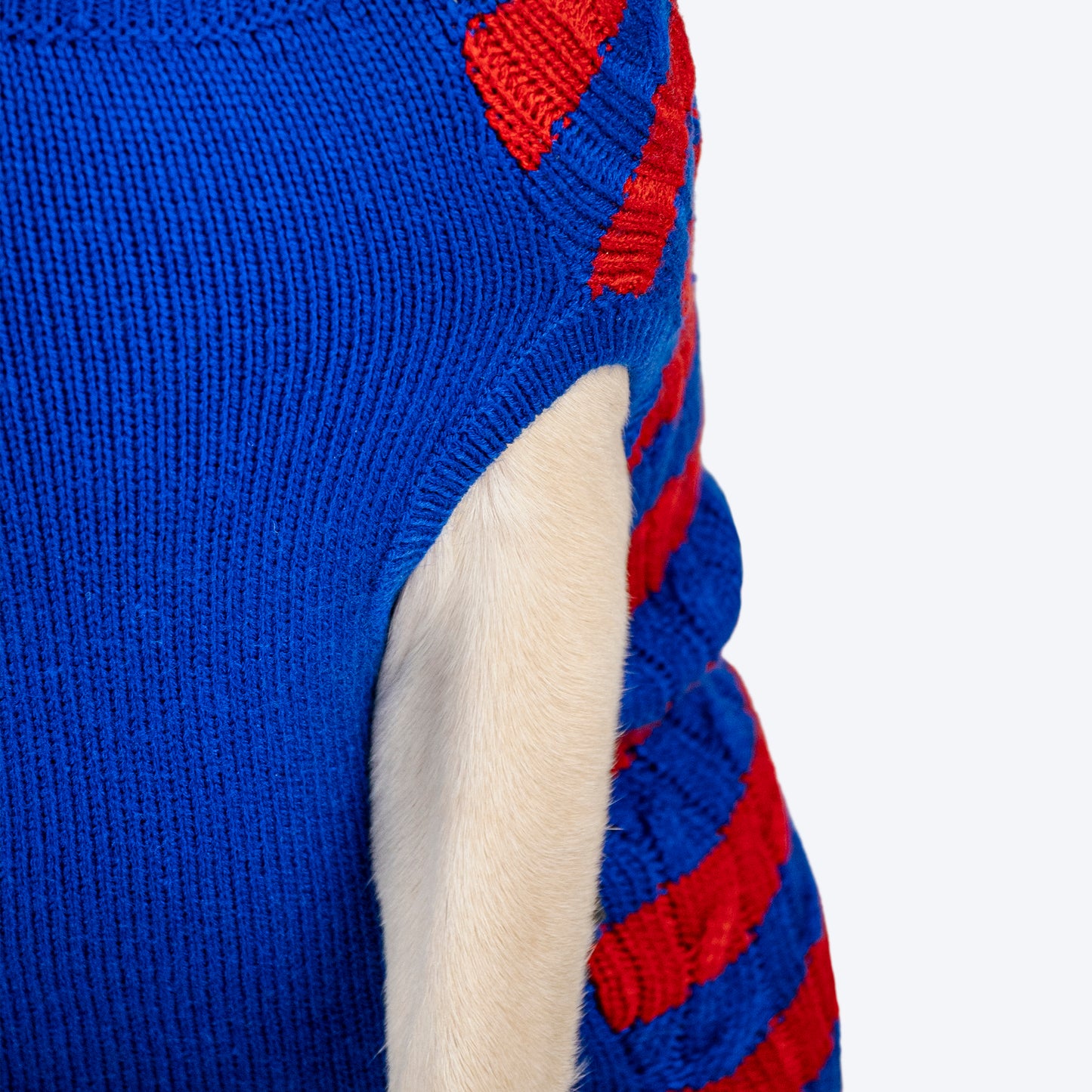 HUFT Snug Stripes Sweater For Dog - Blue & Red - Heads Up For Tails