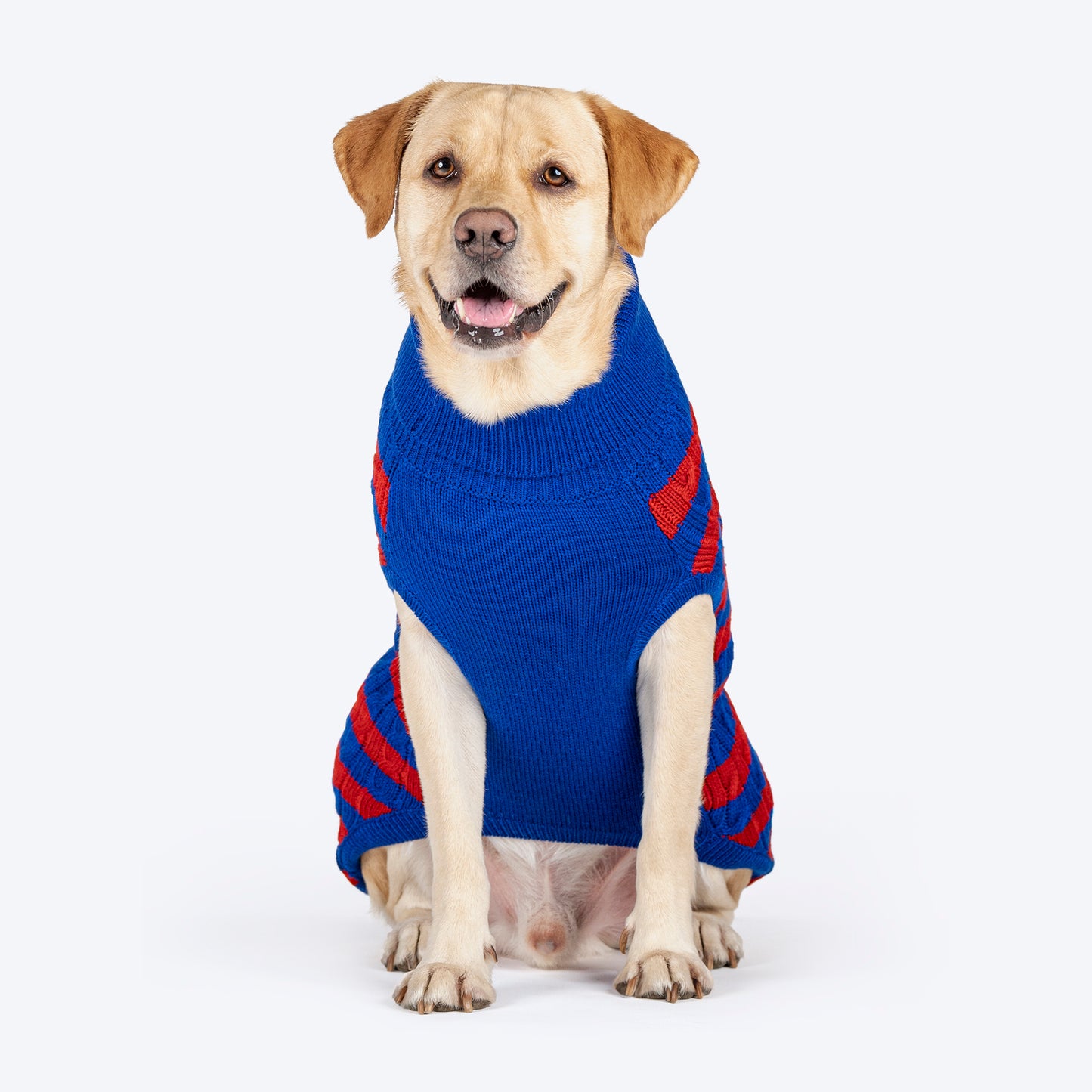HUFT Snug Stripes Sweater For Dog - Blue & Red - Heads Up For Tails