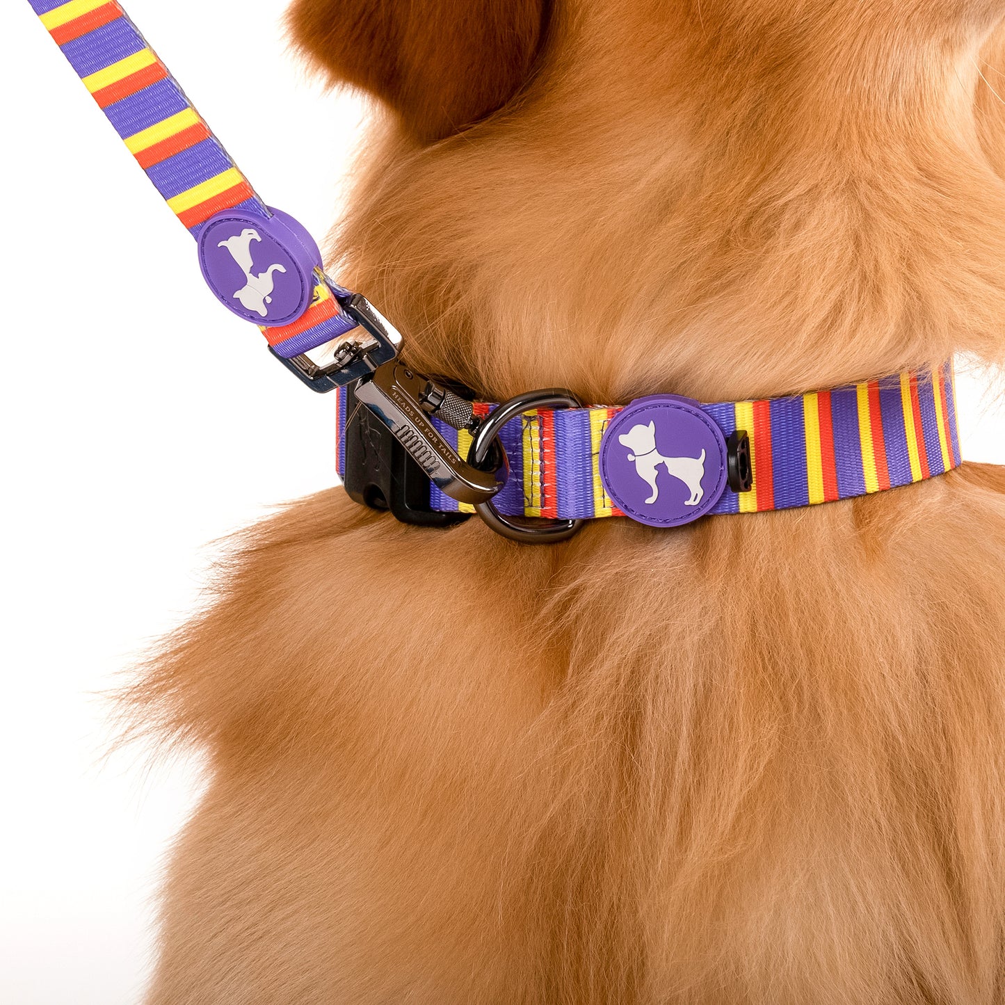 HUFT Sunny Stride Printed Dog Leash - Heads Up For Tails