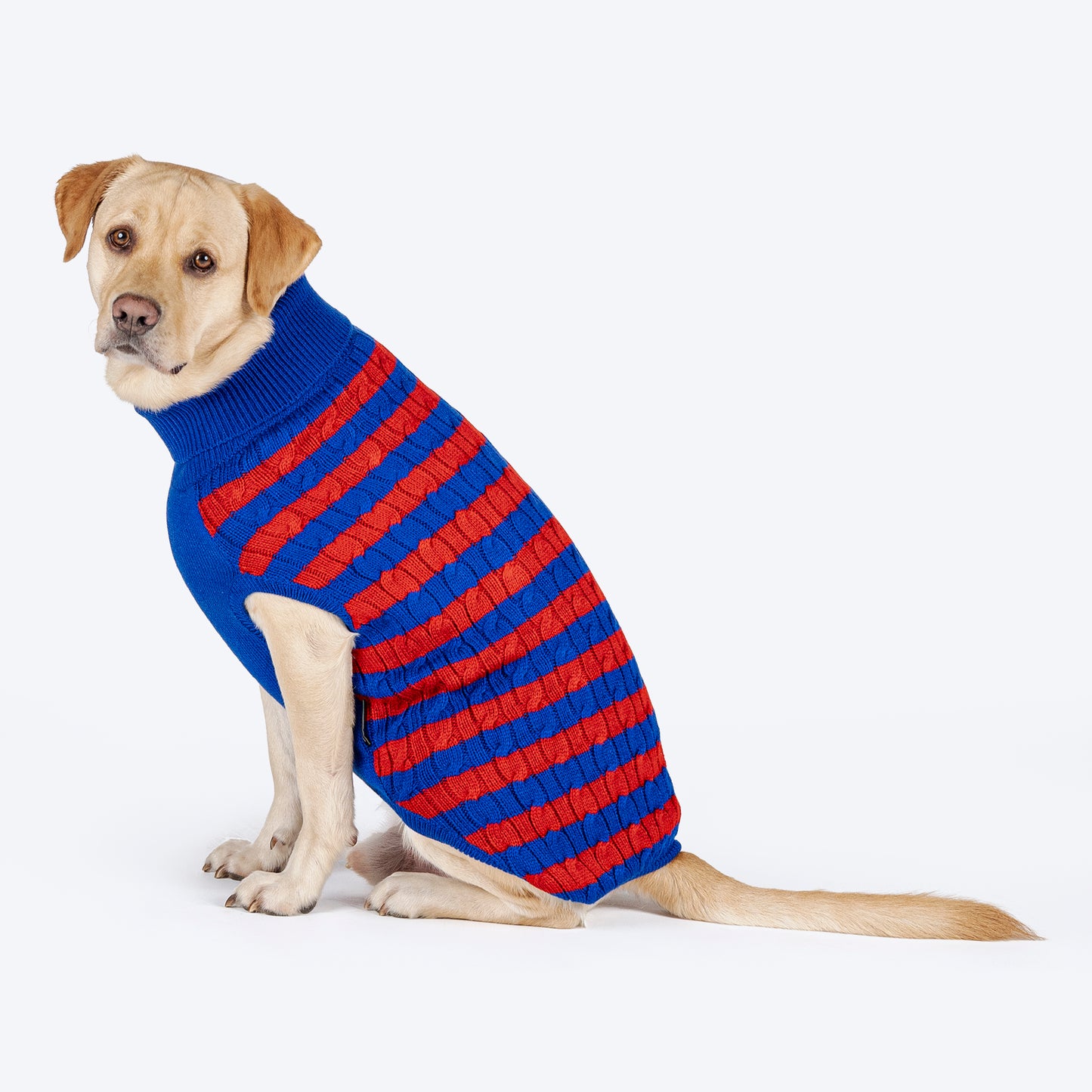 HUFT Snug Stripes Sweater For Dog - Blue & Red - Heads Up For Tails