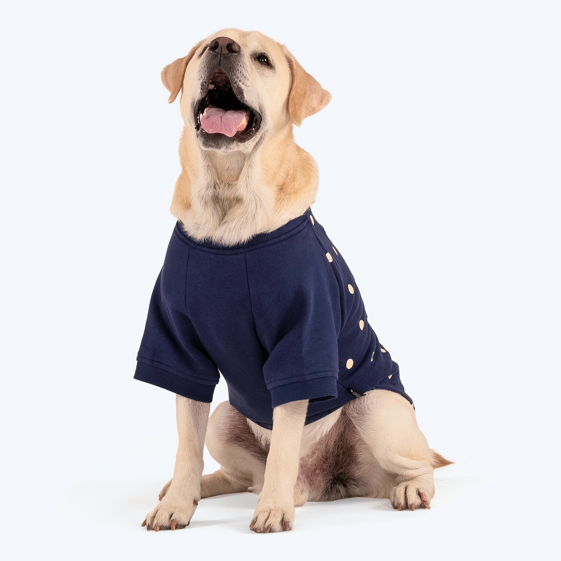 HUFT Polka Dot Sweatshirt For Pets - Navy - Heads Up For Tails
