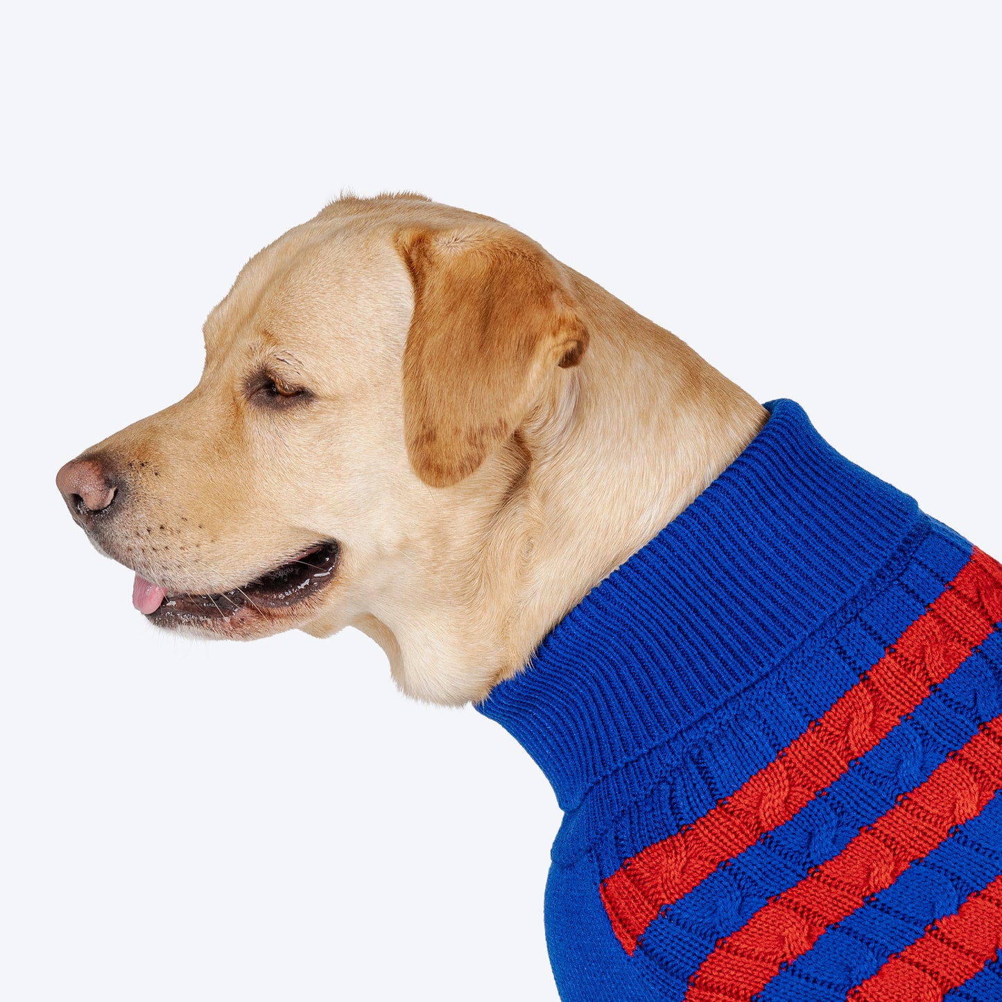 HUFT Snug Stripes Sweater For Dog - Blue & Red - Heads Up For Tails