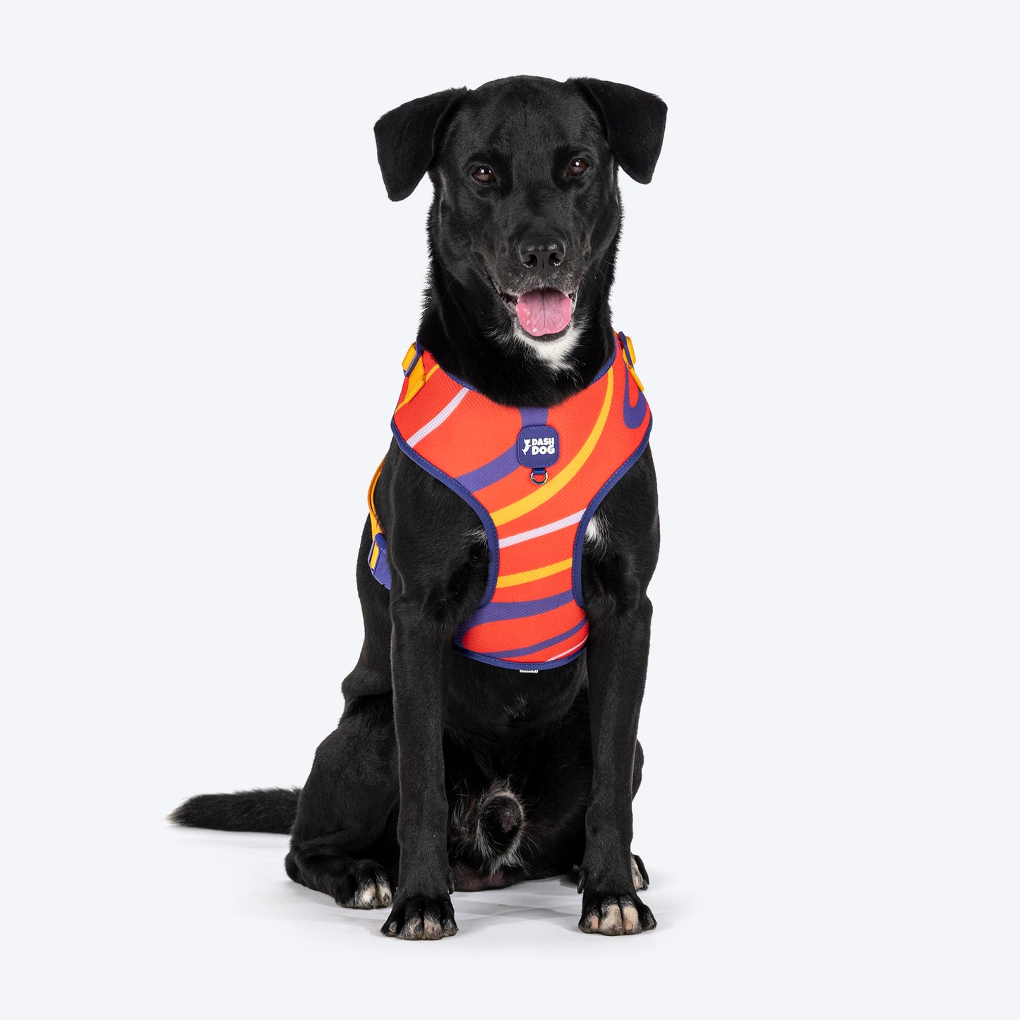 Dash Dog Radiant Blaze Easy Walk Harness For Dog - Orange - Heads Up For Tails