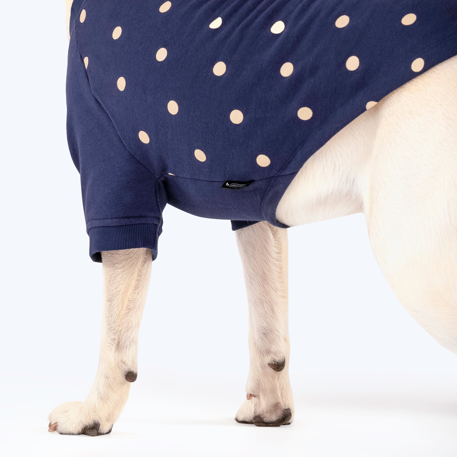 HUFT Polka Dot Sweatshirt For Pets - Navy - Heads Up For Tails