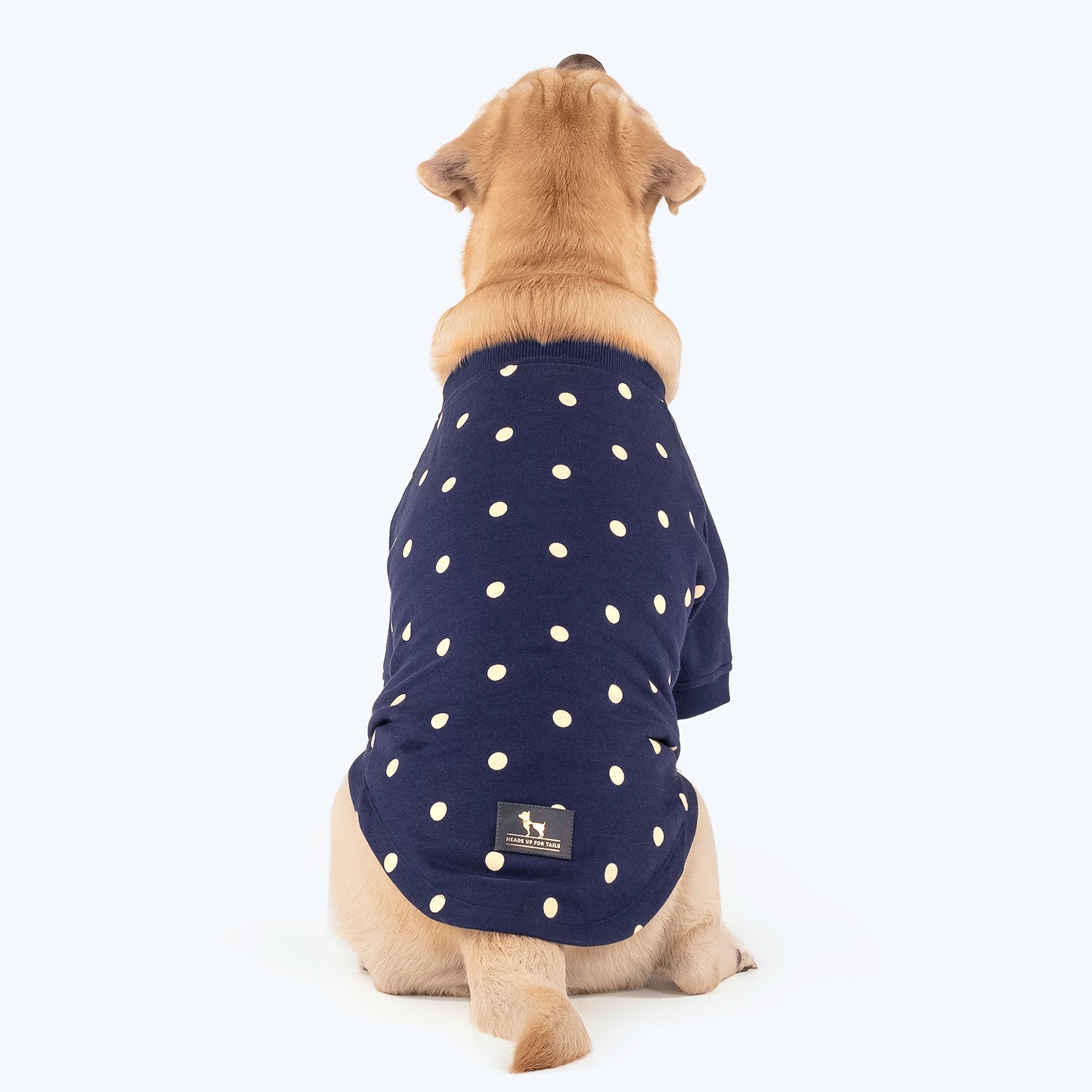 HUFT Polka Dot Sweatshirt For Pets - Navy - Heads Up For Tails