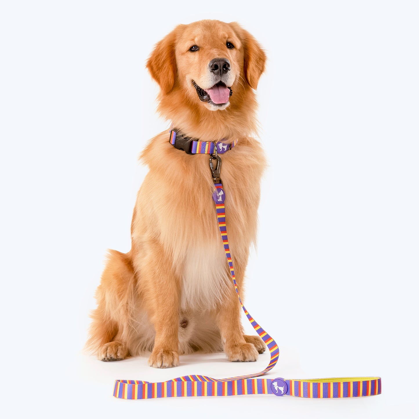 HUFT Sunny Stride Printed Dog Collar - Heads Up For Tails