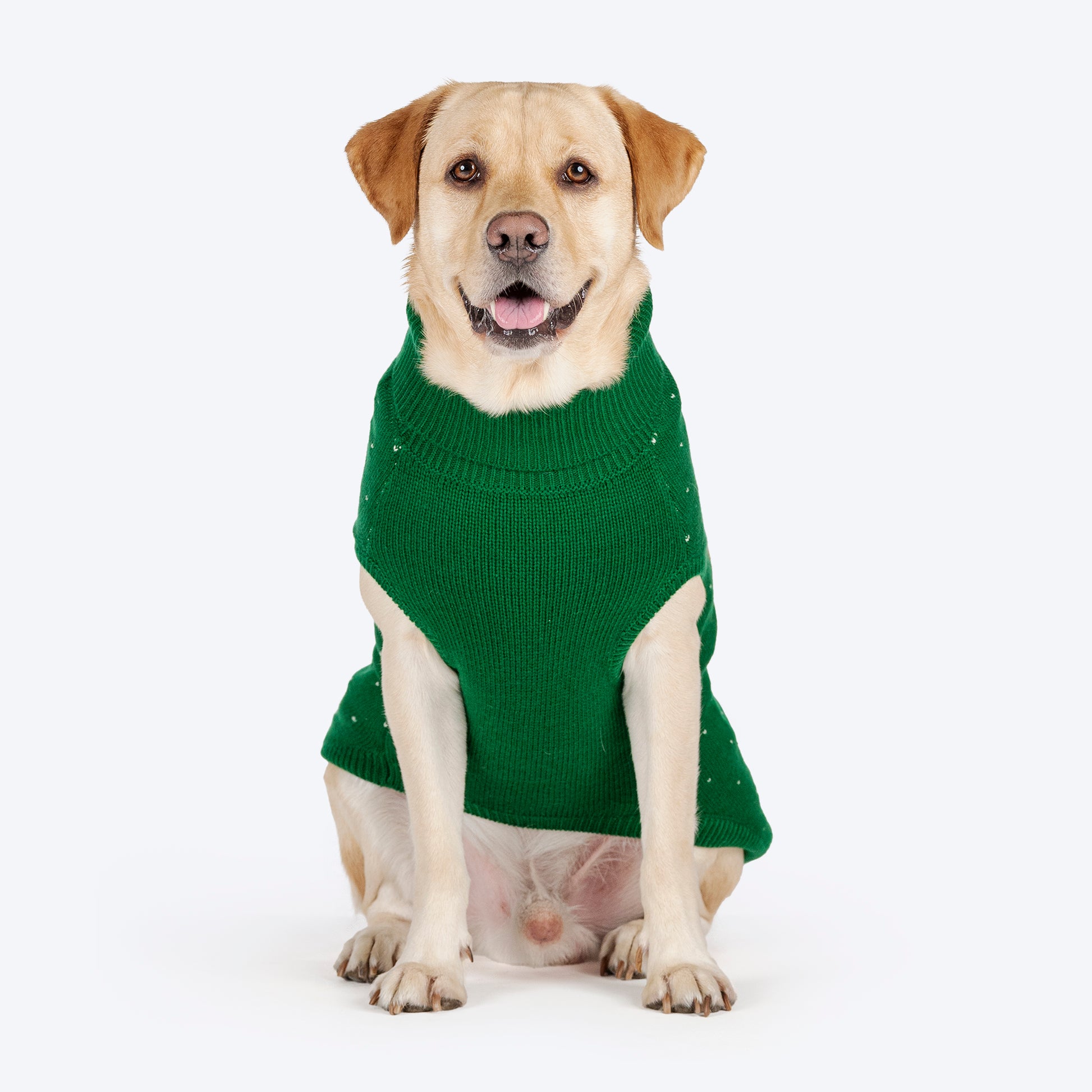 HUFT My Li'l Rudolph Sweater For Dog - Green - Heads Up For Tails