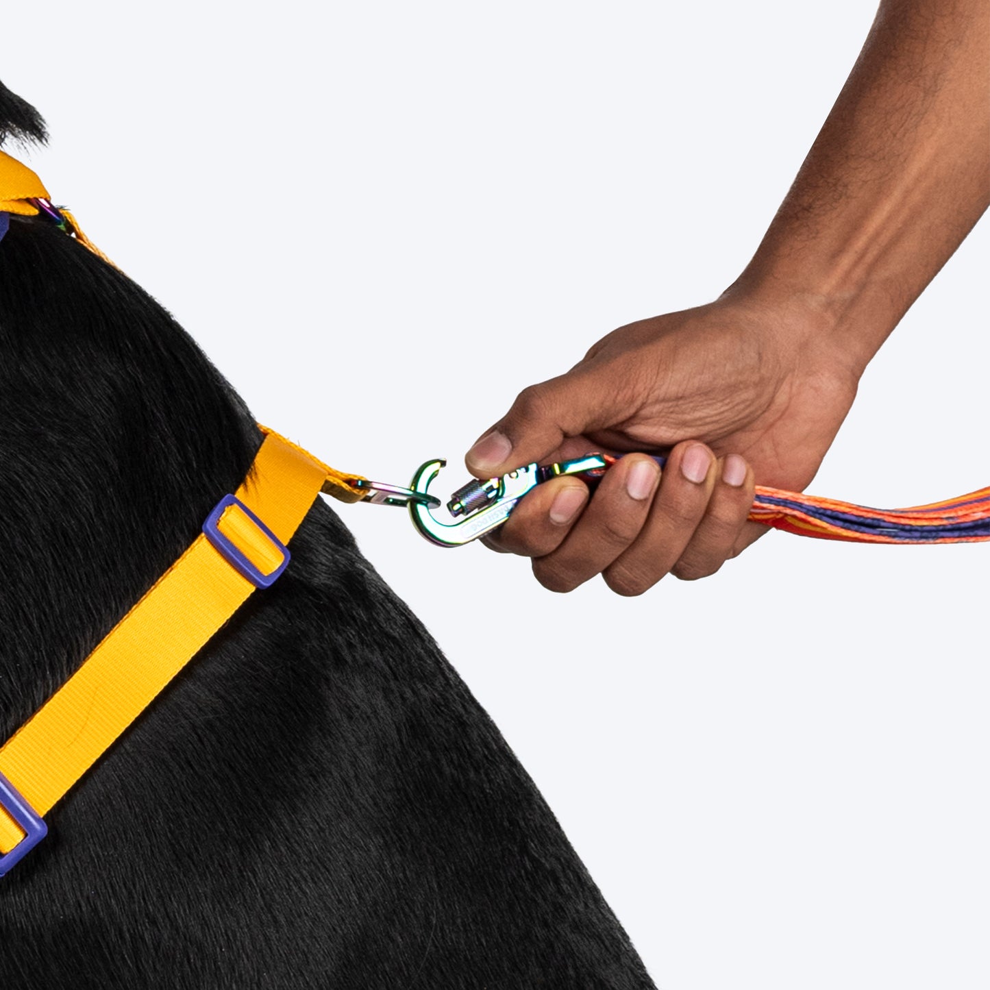 Dash Dog Radiant Blaze Easy Walk Harness For Dog - Orange - Heads Up For Tails
