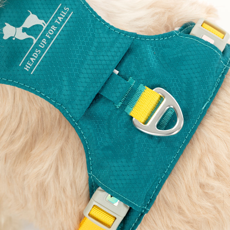 HUFT Walkmate Harness For Dog - Teal Green - Heads Up For Tails