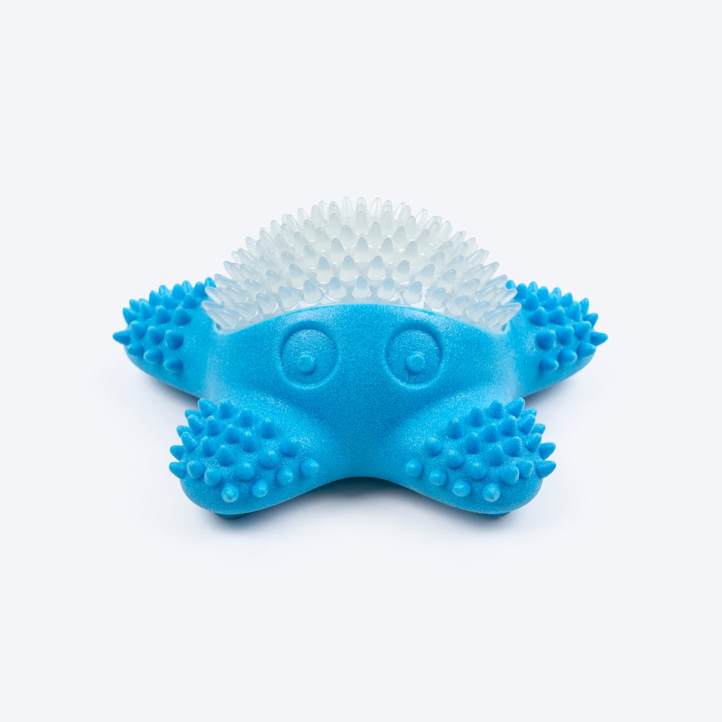 Dash Dog Glowy Starfish Squeaky Chew Toy For Dog - Blue
