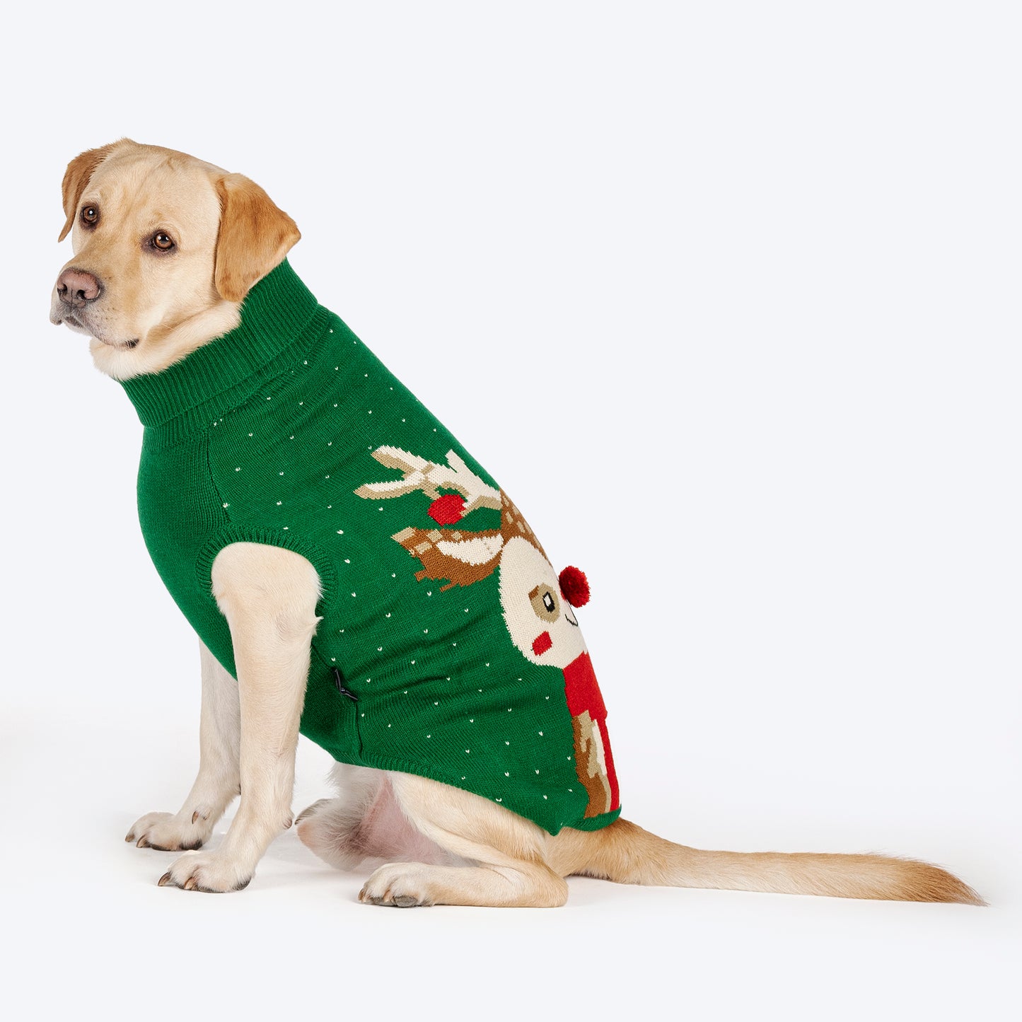 HUFT My Li'l Rudolph Sweater For Dog - Green - Heads Up For Tails