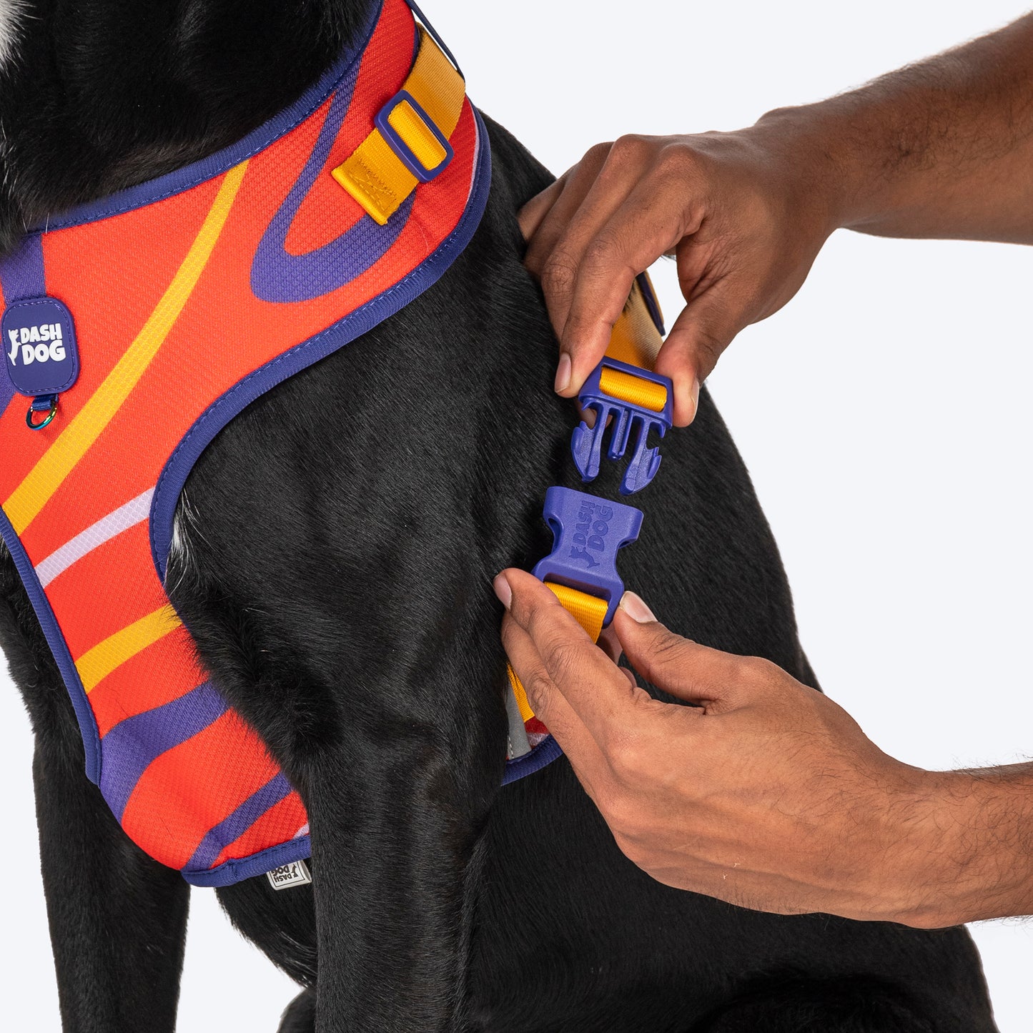 Dash Dog Radiant Blaze Easy Walk Harness For Dog - Orange - Heads Up For Tails