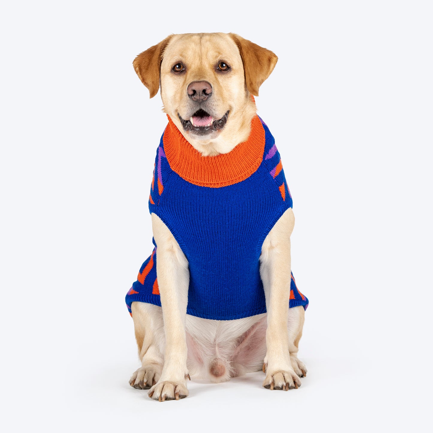 Dash Dog Fuzz Friends Sweater For Dog - Purple - Heads Up For Tails