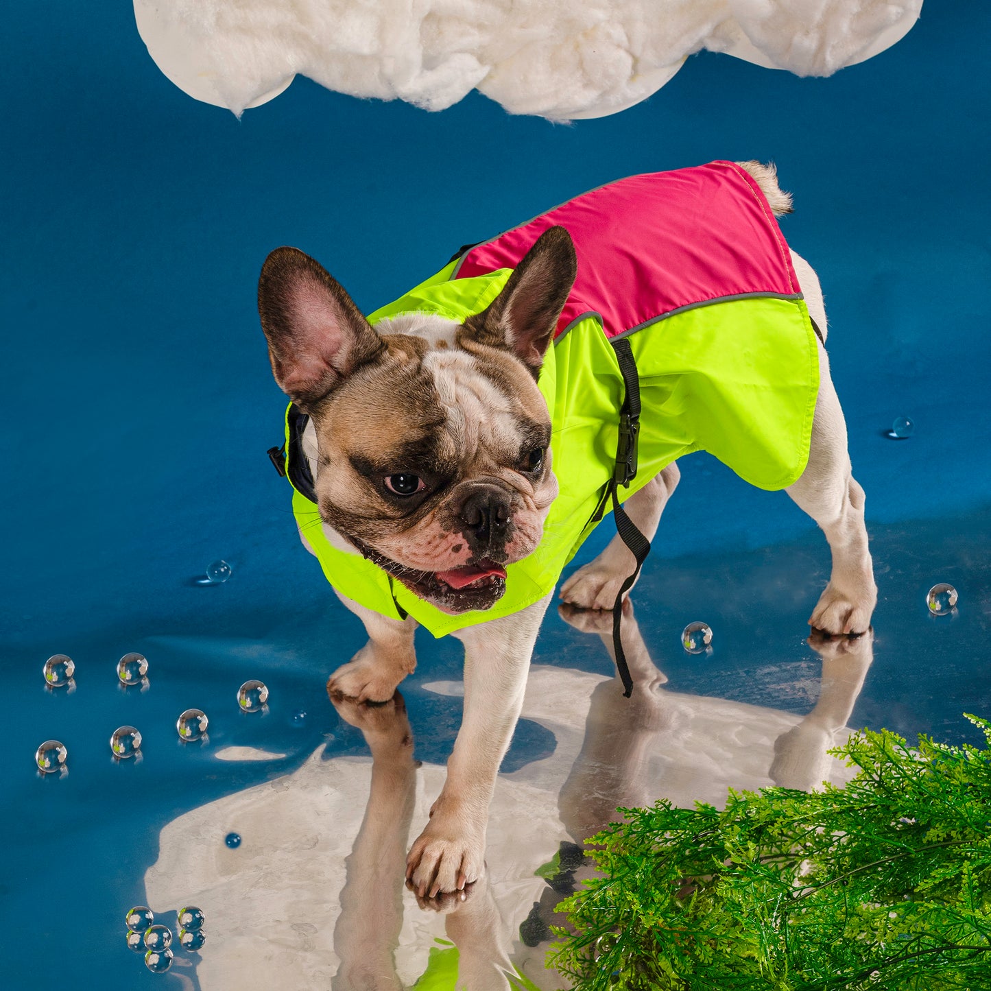 HUFT Neon Shower Dog Raincoat - Neon Green & Pink - Heads Up For Tails