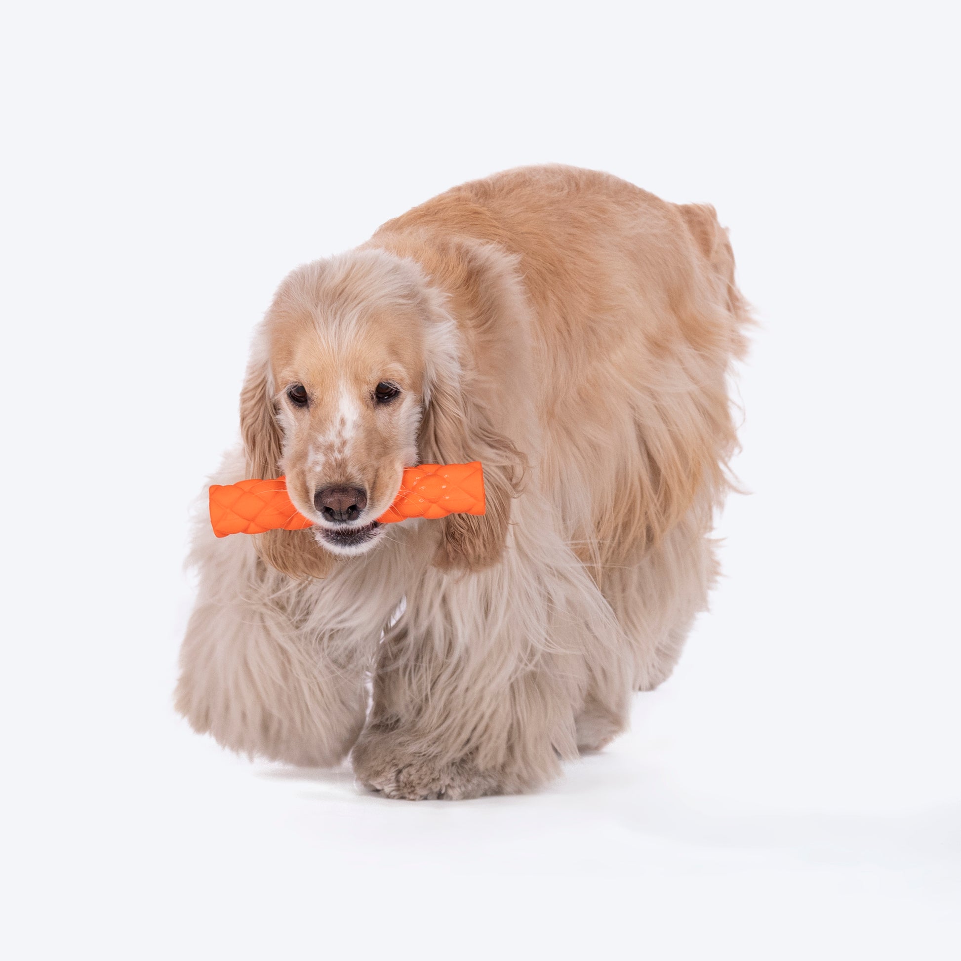 HUFT Twist-n-Chew Toy For Dog - Orange - S - Heads Up For Tails