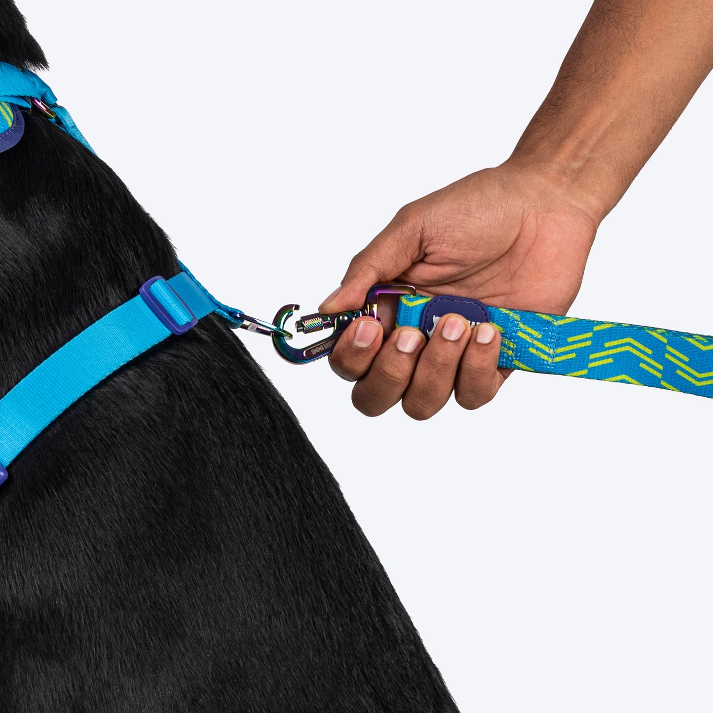 Dash Dog Vector Easy Walk Harness For Dog - Aqua Blue - Heads Up For Tails