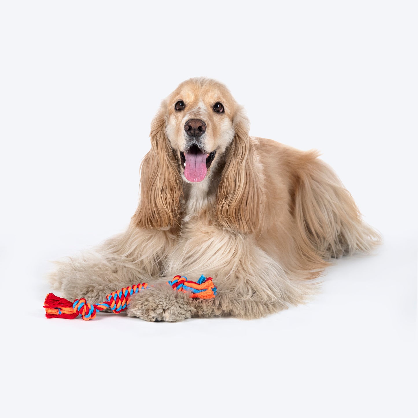 HUFT Tuggables Rope Toy For Dog - Blue & Orange - Heads Up For Tails