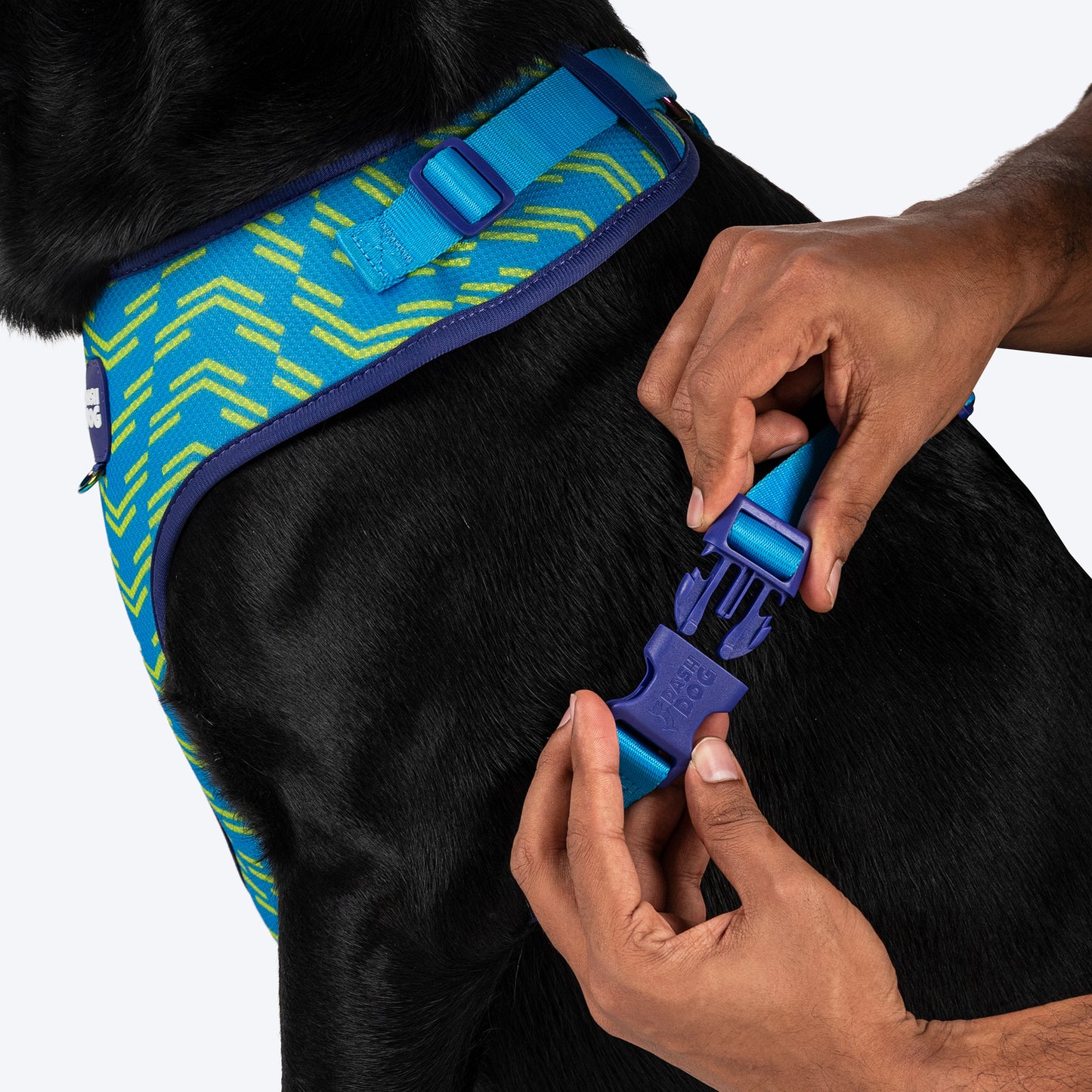 Dash Dog Vector Easy Walk Harness For Dog - Aqua Blue - Heads Up For Tails
