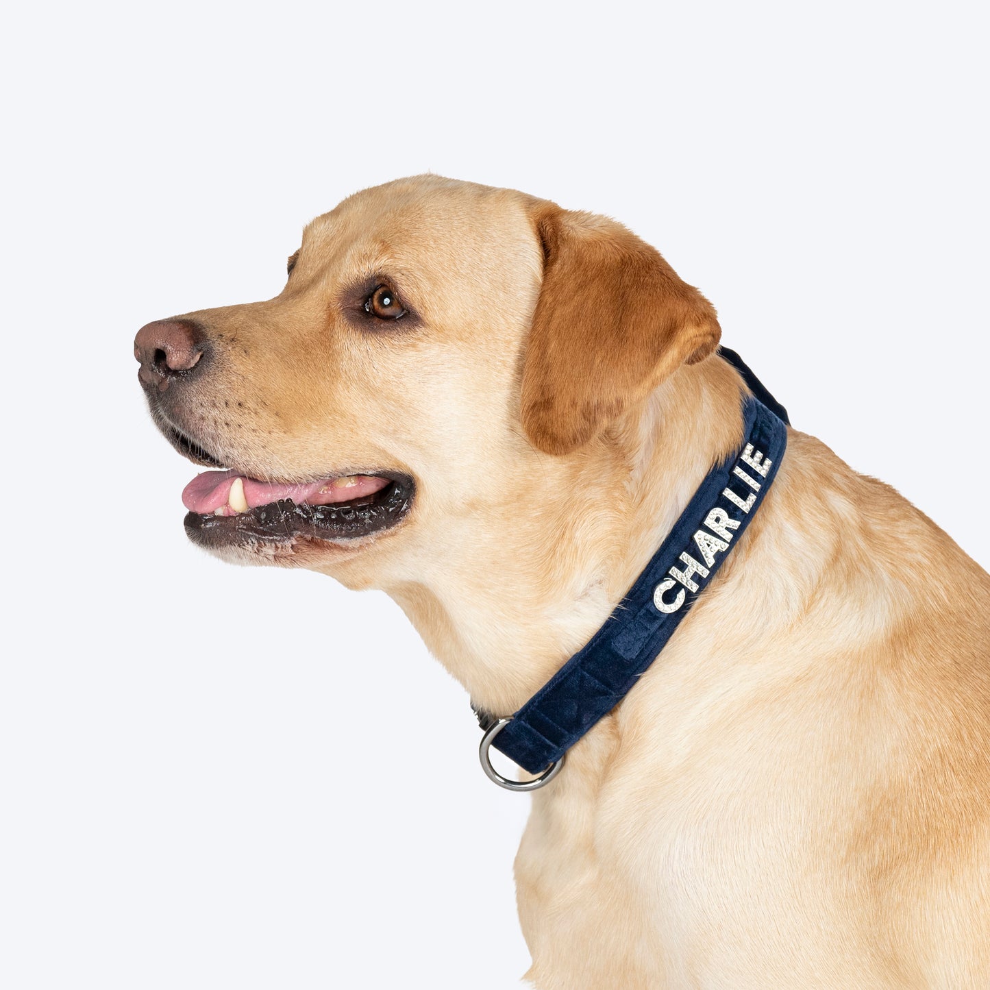 HUFT Personalised Luxe Velvet Bling Fabric Collar With Bow Tie For Dog - Dark Navy - Heads Up For Tails