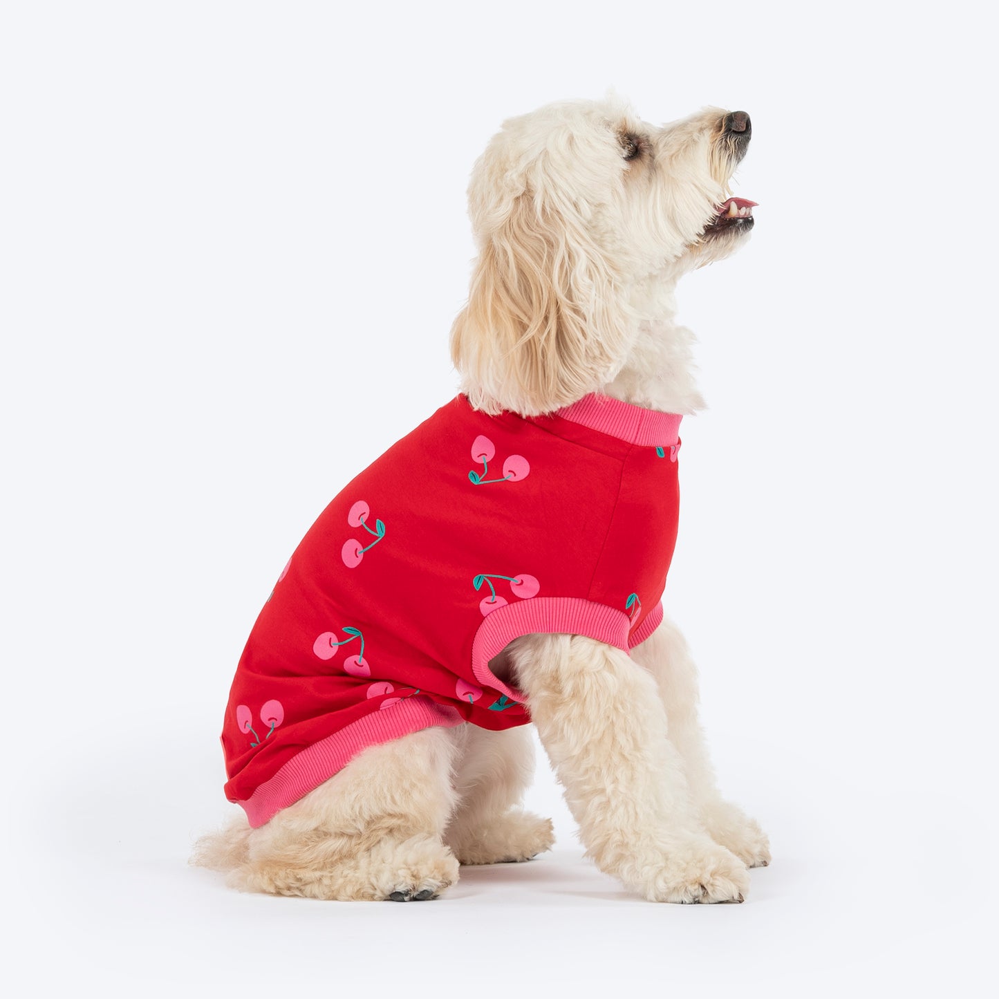 HUFT Cherry Pop Printed T-Shirt For Small Dog - Red - Heads Up For Tails
