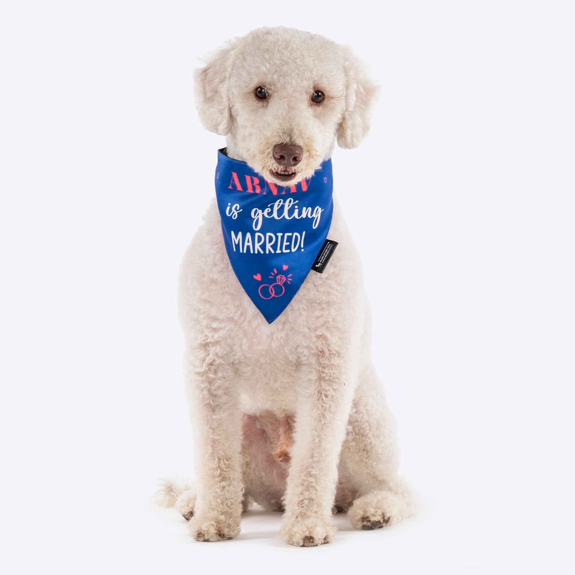 Dog proposal sale bandana