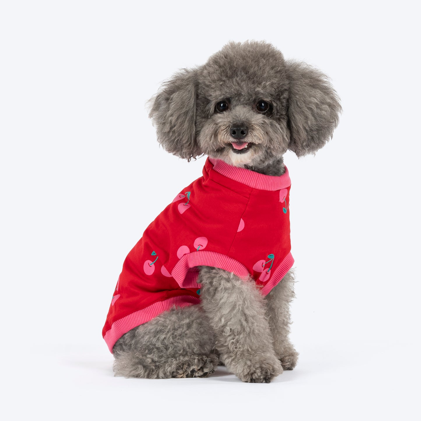 HUFT Cherry Pop Printed T-Shirt For Small Dog - Red - Heads Up For Tails