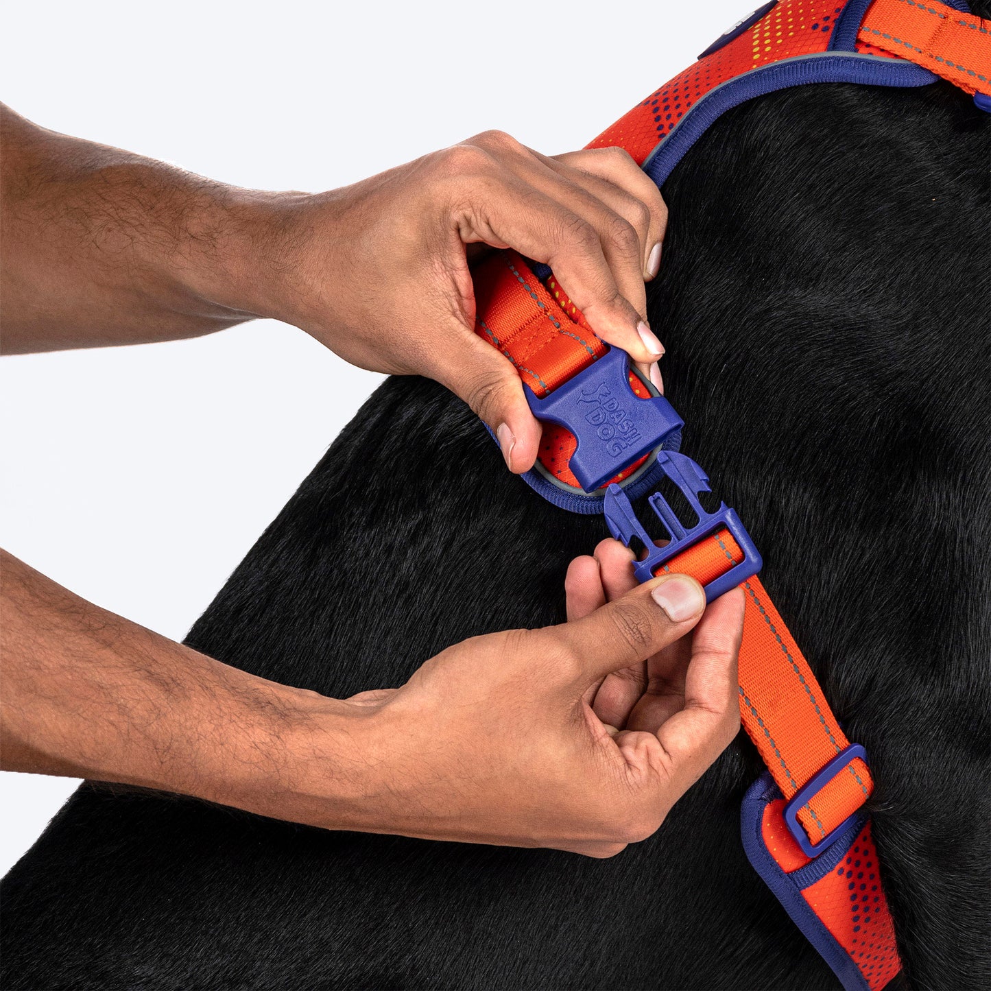 Dash Dog Super Stride Walk Along Harness For Dog - Orange - Heads Up For Tails