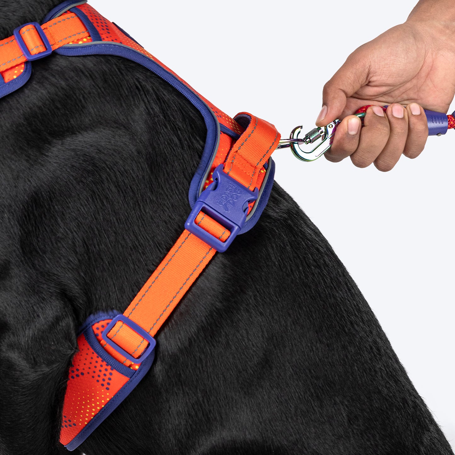 Dash Dog Super Stride Walk Along Harness For Dog - Orange - Heads Up For Tails
