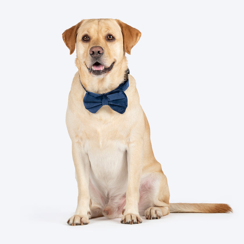 HUFT Personalised Luxe Velvet Bling Fabric Collar With Bow Tie For Dog - Dark Navy - Heads Up For Tails