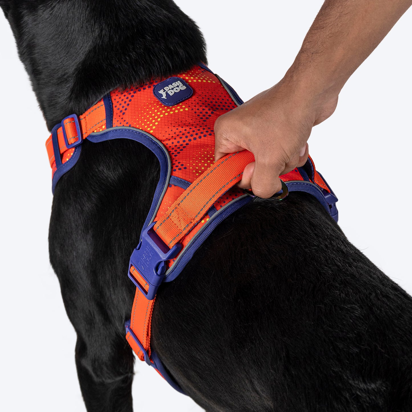 Dash Dog Super Stride Walk Along Harness For Dog - Orange - Heads Up For Tails