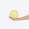 HUFT Fetch & Squeak Plush Ball For Dog - Green