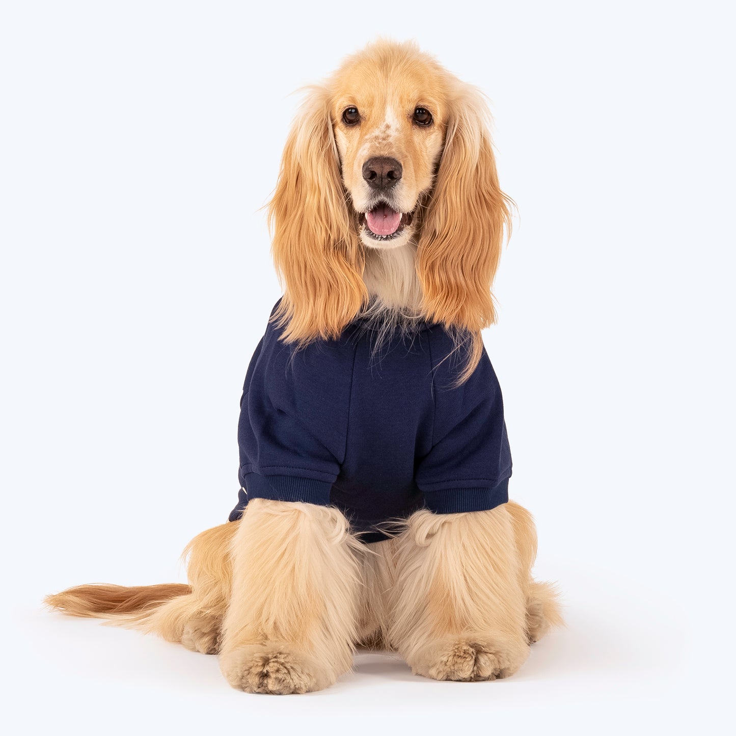 HUFT Polka Dot Sweatshirt For Pets - Navy - Heads Up For Tails