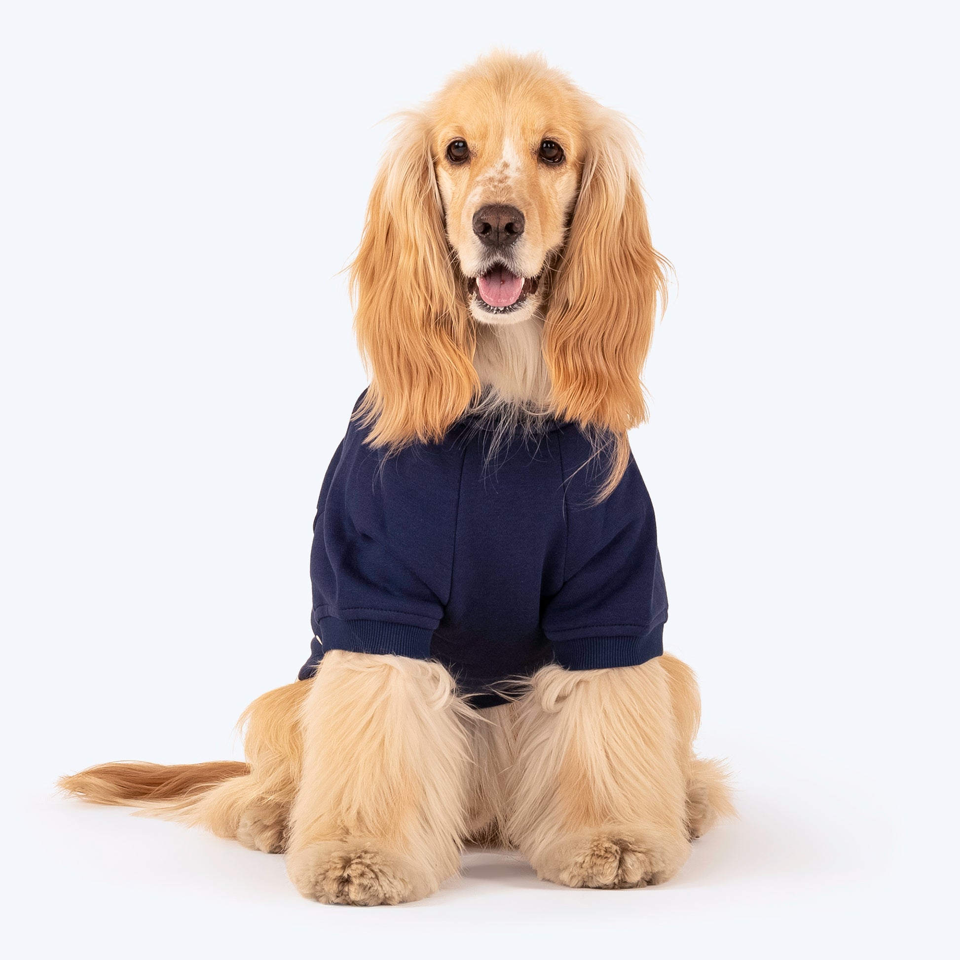 HUFT Polka Dot Sweatshirt For Pets - Navy - Heads Up For Tails