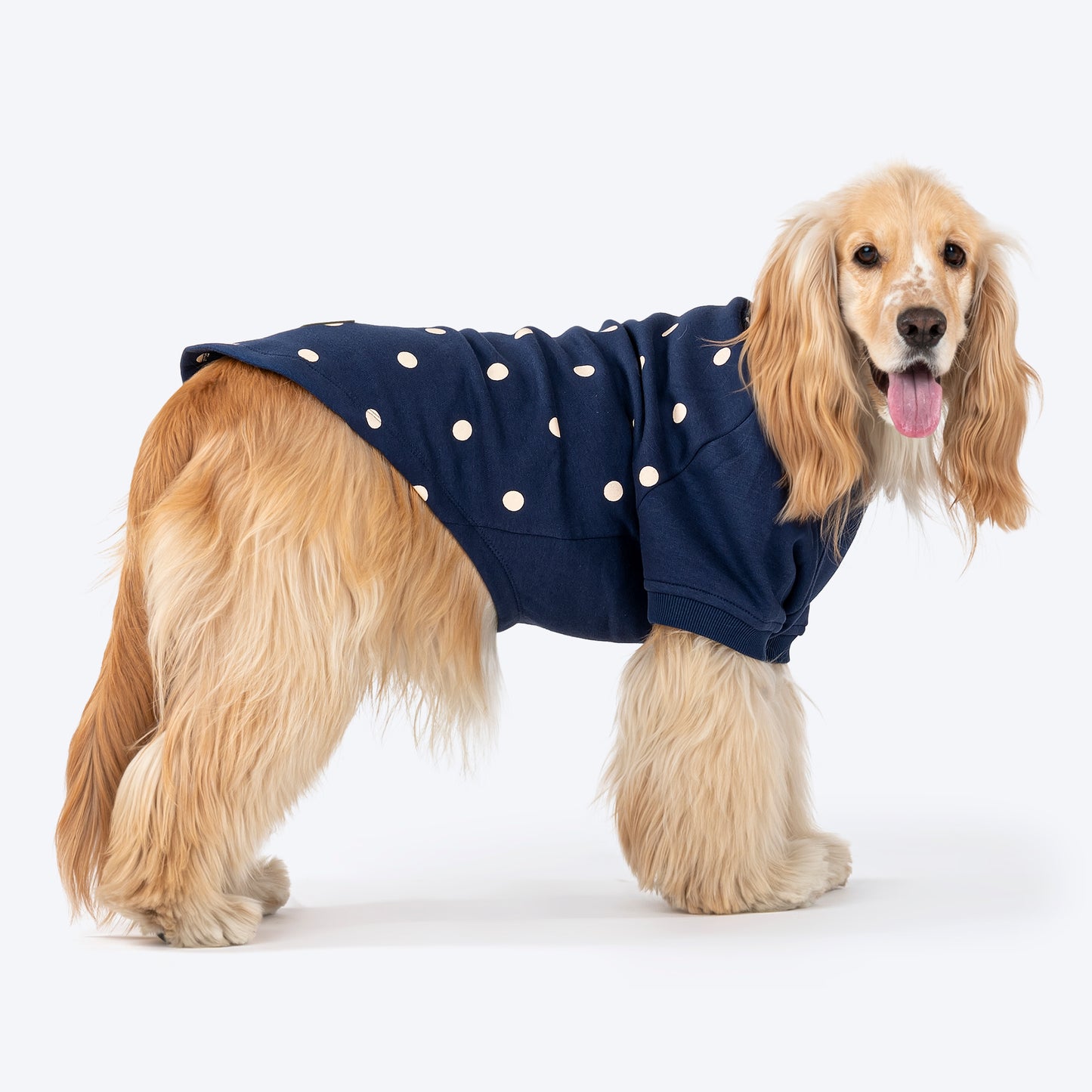 HUFT Polka Dot Sweatshirt For Pets - Navy - Heads Up For Tails