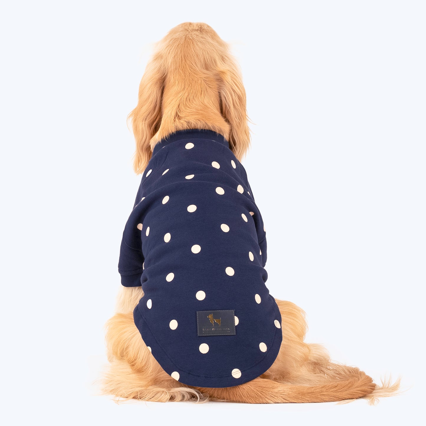 HUFT Polka Dot Sweatshirt For Pets - Navy - Heads Up For Tails