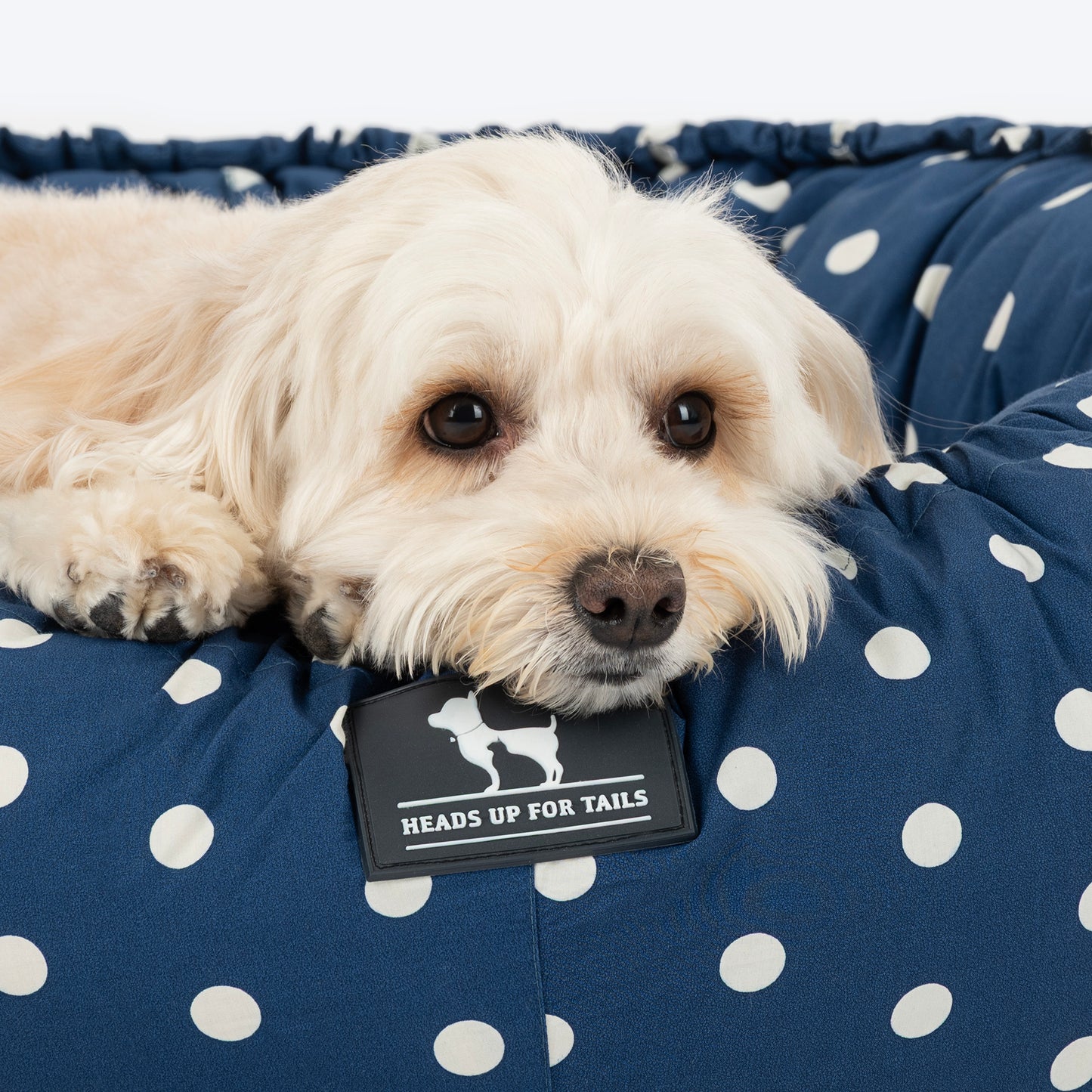 HUFT Polka Paws Adjustable Donut Bed For Dog & Cat - Navy - Heads Up For Tails