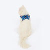 HUFT Easy Breezy Step-In Harness & Leash Set For Cat - Blue - Heads Up For Tails