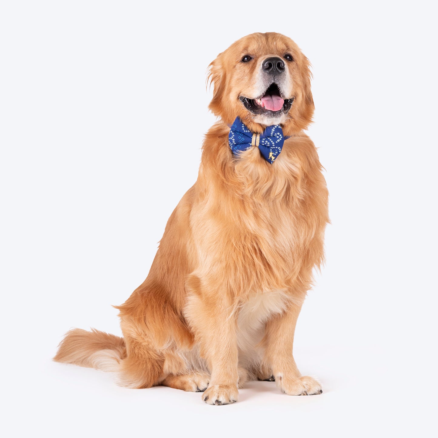 HUFT Bandhani Breeze Bowtie With Strap For Dog - Blue - Heads Up For Tails