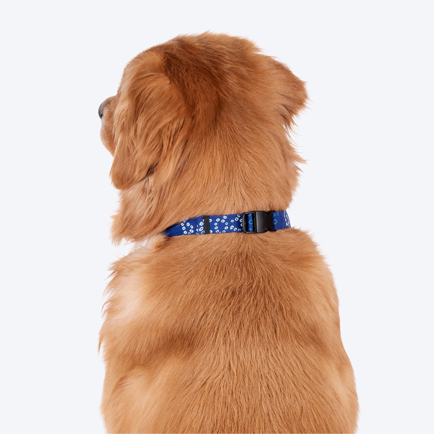 HUFT Bandhani Breeze Bowtie With Strap For Dog - Blue - Heads Up For Tails