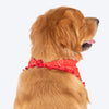 HUFT Bandhani Breeze Knot Bandana For Dog - Red - Heads Up For Tails
