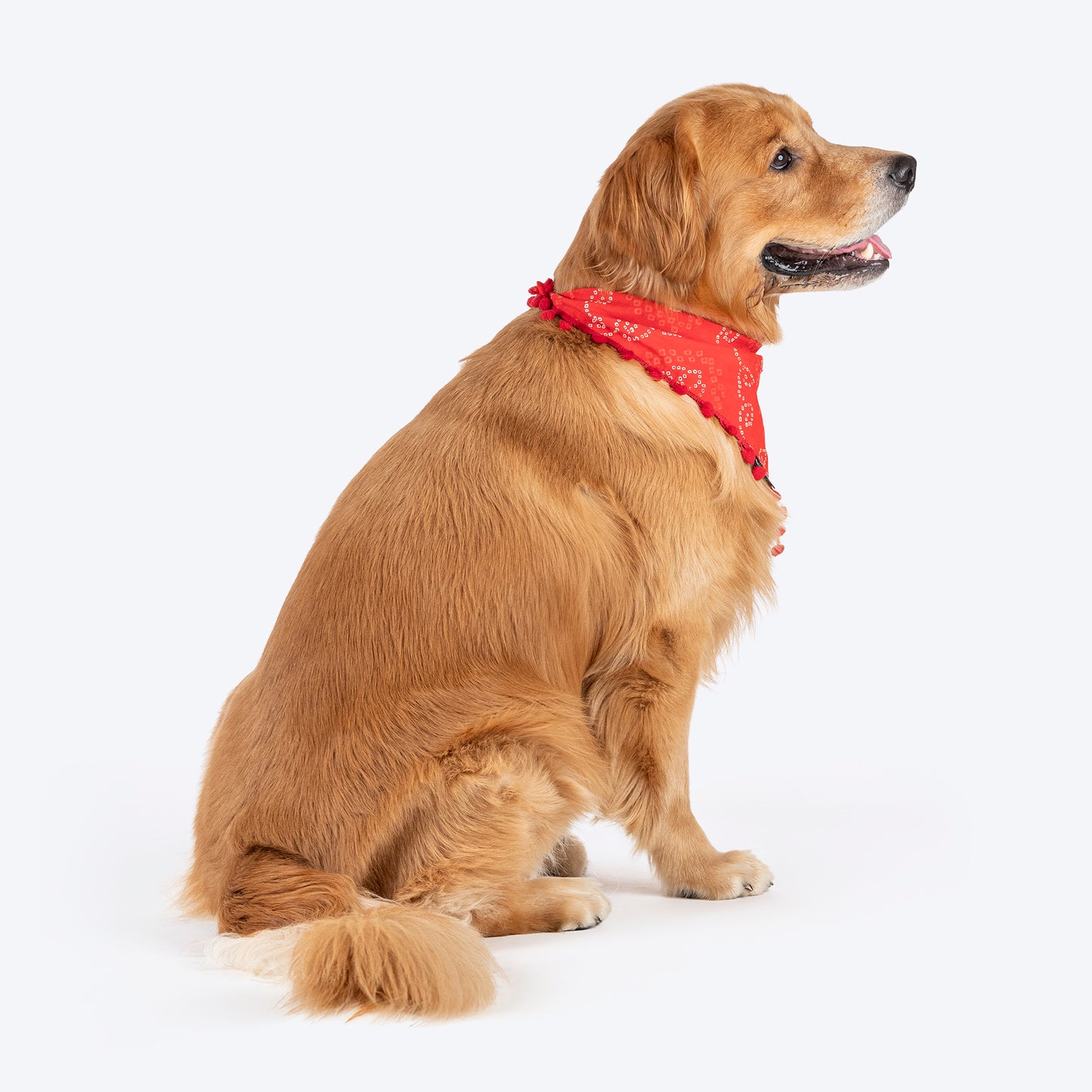 HUFT Bandhani Breeze Knot Bandana For Dog - Red - Heads Up For Tails