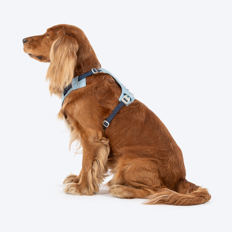 HUFT Walkmate Harness For Dog - Slate Blue - Heads Up For Tails