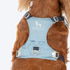 HUFT Walkmate Harness For Dog - Slate Blue - Heads Up For Tails