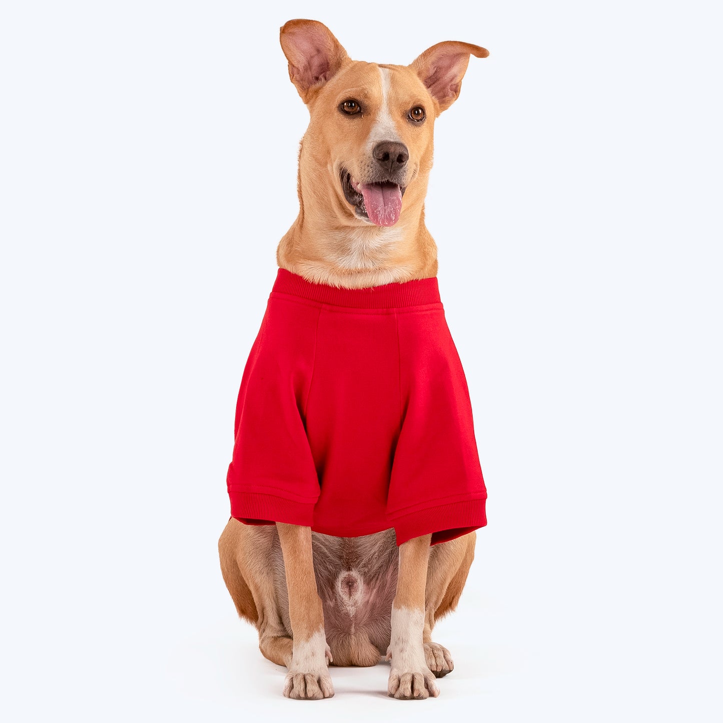 HUFT Polka Dot Sweatshirt For Pets - Red - Heads Up For Tails