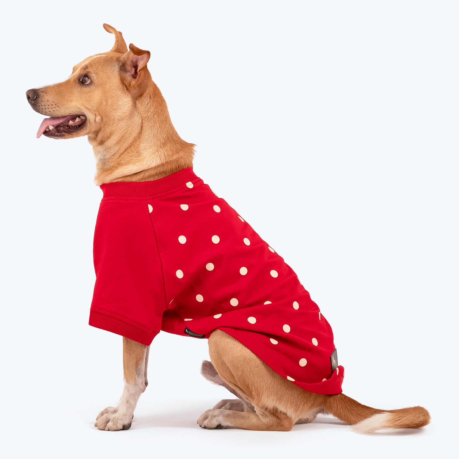 HUFT Polka Dot Sweatshirt For Pets - Red - Heads Up For Tails